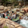 Image 5: Knott's Berry Farm Daytime or Scary Farm Admission - Up to 45% Off