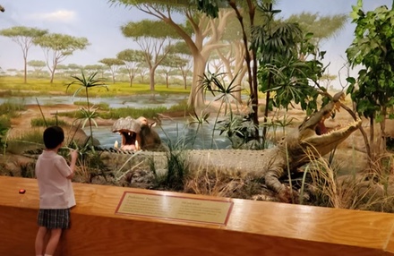 Admission for 2 people - Las Vegas Science & Natural History Museum