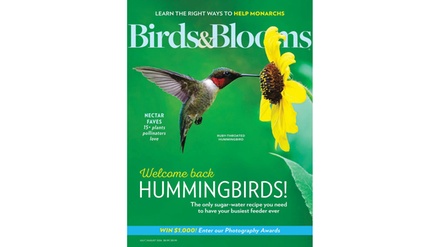 One-Year Digital Subscription to Birds & Blooms - Blue Dolphin Magazines