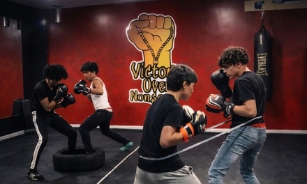 GROUP BOXING LESSON - Victory over Nonsense in Jefferson Township, OH