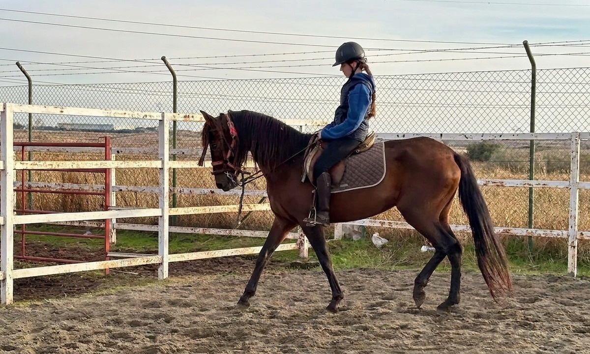 Clases de equitación y pony para niños y adultos cerca de Madrid