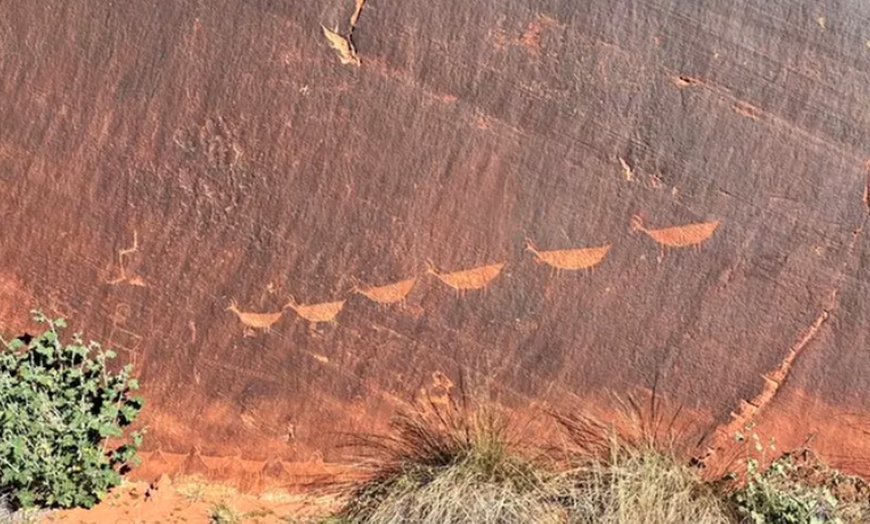Image 6: Up to 7% Off Guided Half Day Horseshoe Bend Tour
