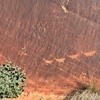 Image 6: Up to 7% Off Guided Half Day Horseshoe Bend Tour