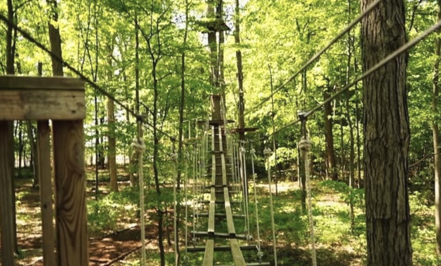 Image 10: Explore Mid-Michigan's Nature at The Frankenmuth Aerial Park