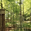 Image 10: Explore Mid-Michigan's Nature at The Frankenmuth Aerial Park