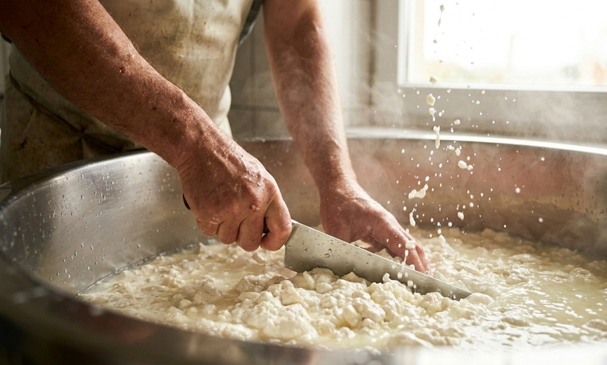 Image 5: Explore farm tours with cheese-making and animal raising insights