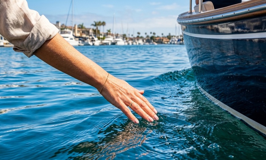 Image 6: Private Boat Tours of Newport Harbor