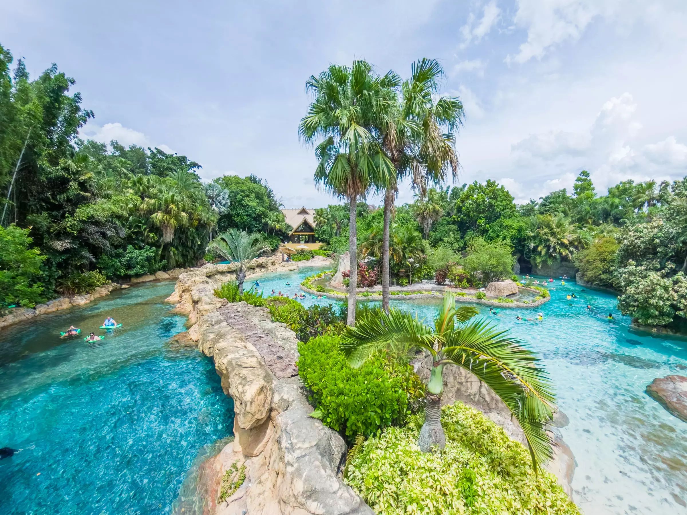 Experience Unforgettable Animal Encounters & All-Inclusive Luxury at Discovery Cove, Orlando's #1 Theme Park