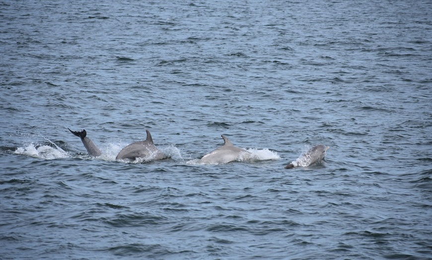 Image 6: Deep Sea Fishing Adventure with Rod, Reel & Bait Included at Belmar 