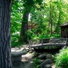 Image 1: Admission to 20-Acre Themed Gardens in Rock County, Wisconsin