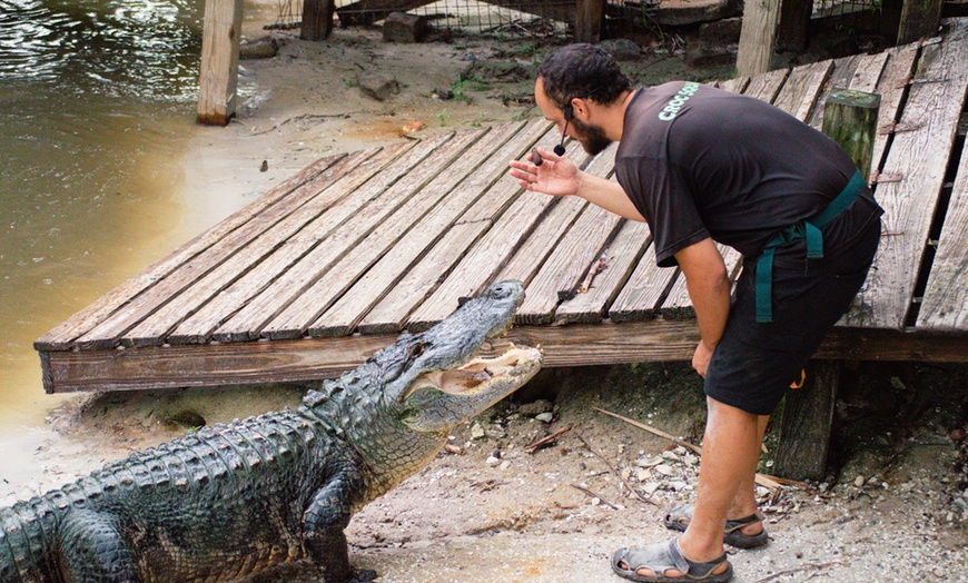 Image 2: Wild Florida Gator Park Admission with Options for Lunch Air Boat Ride