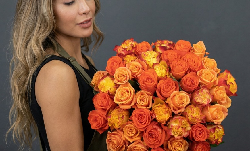 Image 2: Rosaholics Deal: Up to 57% Off Garden & Peony-Style Roses