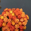 Image 2: Rosaholics Deal: Up to 57% Off Garden & Peony-Style Roses