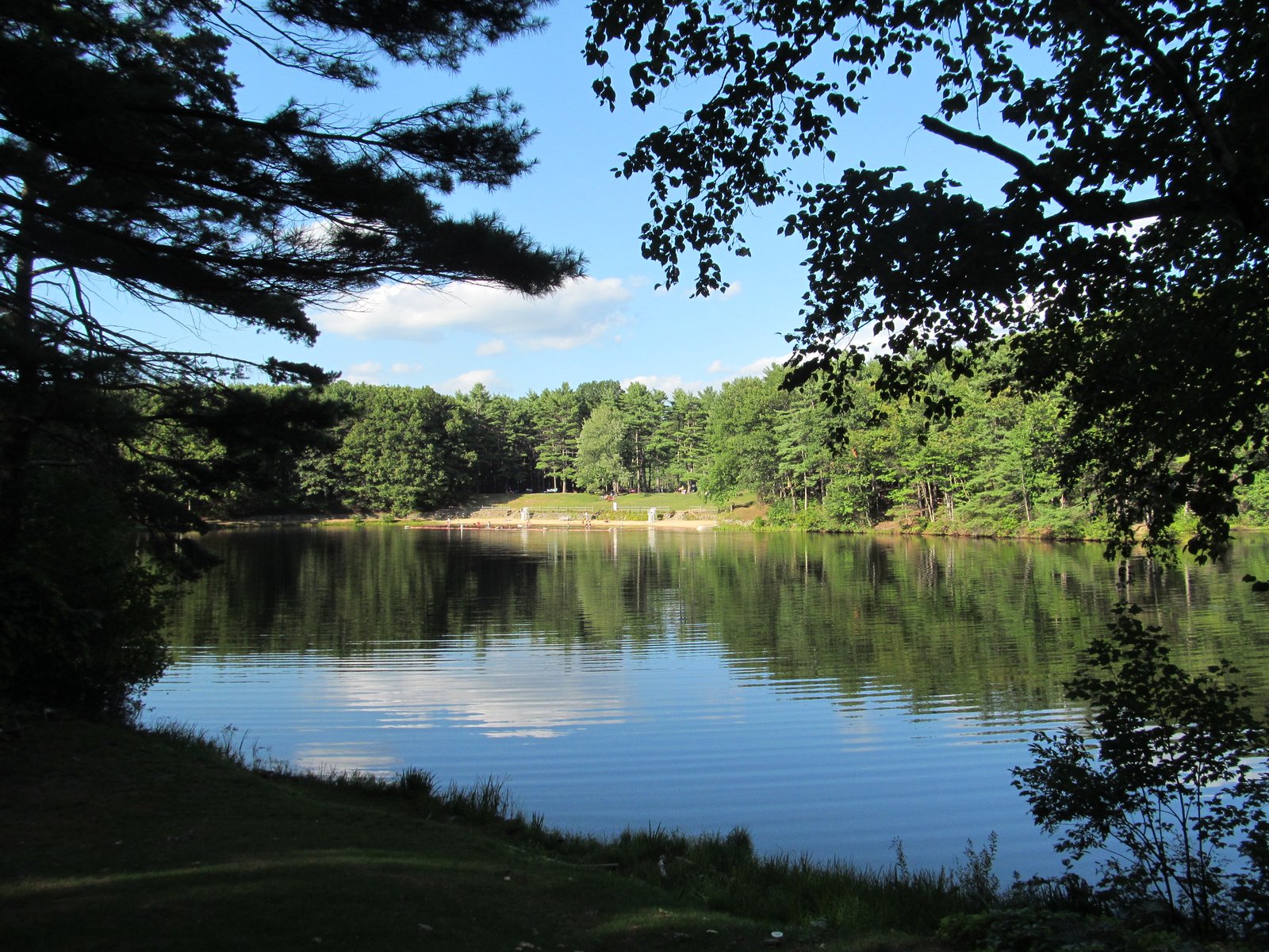 Leominster State Forest