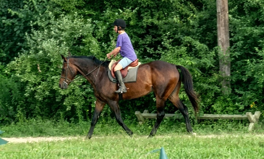 Image 2: Elevate Your Riding Skills: Scenic Horseback Riding Lesson for 2 or 4