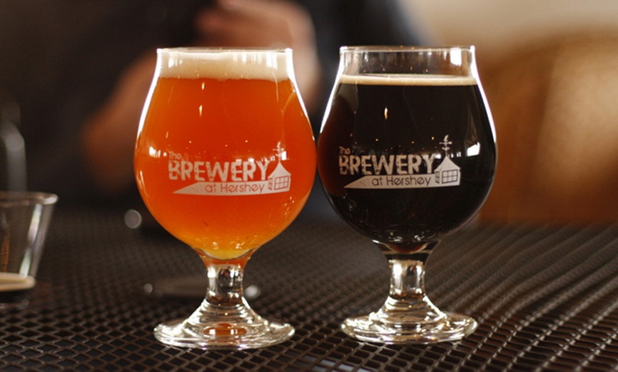 Image 5: VIP Beer Tasting Experience for 2 or 4: Uncover Brewing Secrets