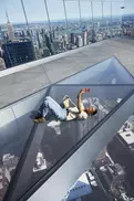 FLASH SALE! Save on Edge NYC Tickets: Highest Sky Deck