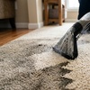 Image 7: Carpet cleaning for up to 5 rooms or upholstery care