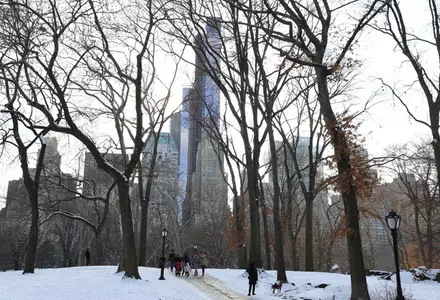 Central Park