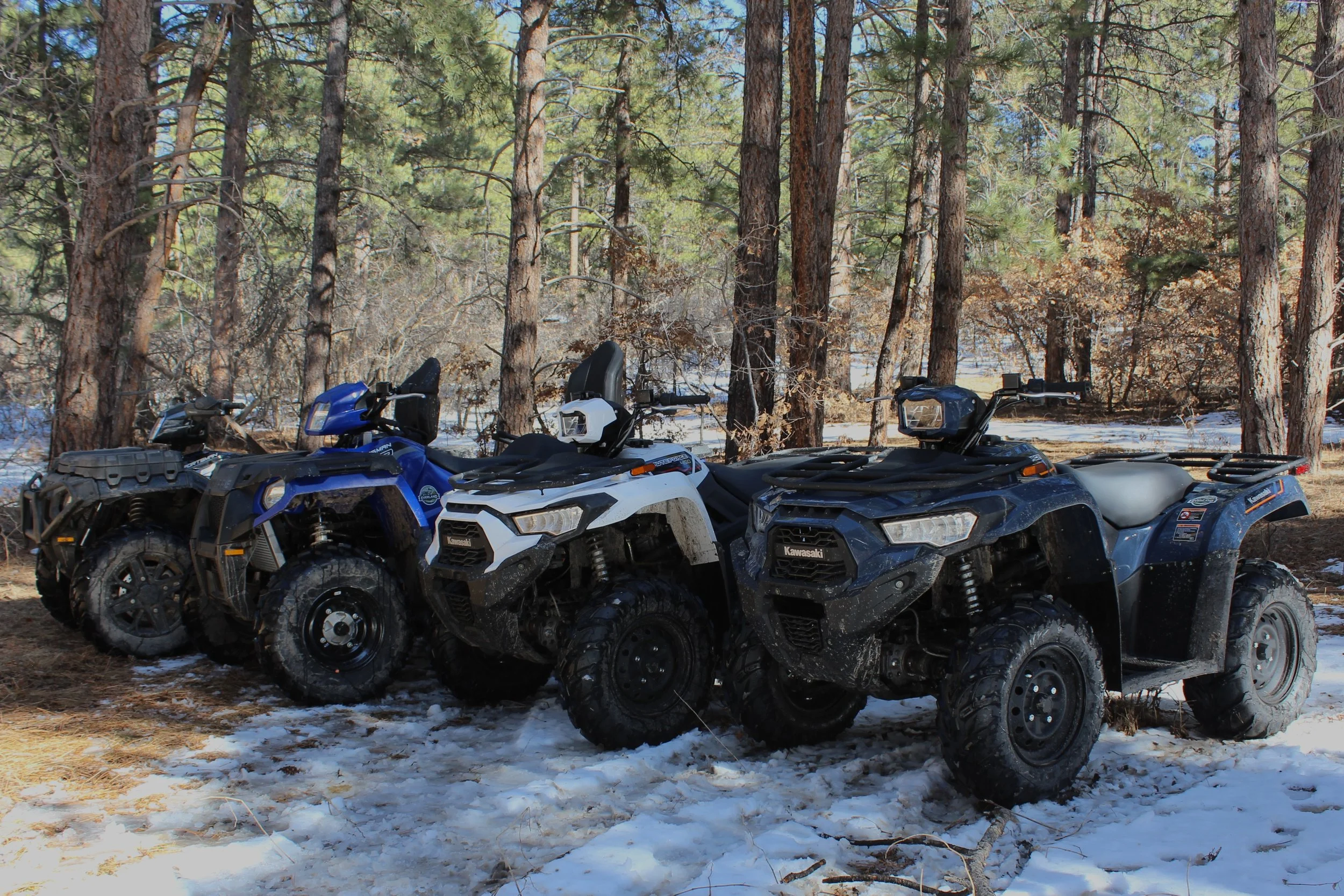 What to expect media