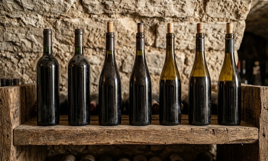 Image 4: Treat Yourself to a Wine Adventure With Wine Tasting Experience