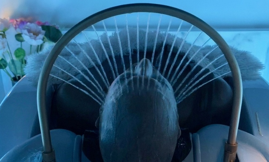 Image 3: Head Spa Treatments: 60, 90 Min & 3-Hour Zen Escape Wellness Package