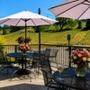 Image 2: Wine Tasting & Handcrafted Wines in a Historic Speakeasy for 1-6