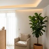 Image 7: Up to 59% Off on Lymphatic Drainage Massage at Touchedbyangie