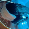 Image 1: Classic Hair Scalp Spa with Deep Cleansing, Hair Wash, Neck and Shoulder Massage with Fumigation (Up to 48% Off)