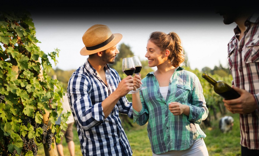 Image 4: VIP Beer Tasting Experience for 2 or 4: Uncover Brewing Secrets