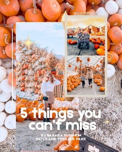Thriller Park All Inclusive Pass for One Person (Weekday) - Kuwahara Pumpkin Patch and Thriller Park