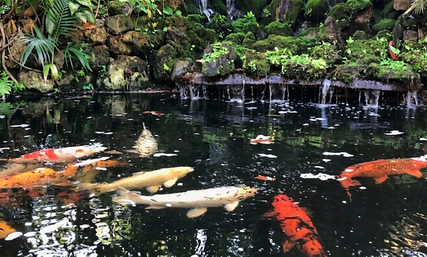 Image 10: Sunken Gardens Admission & Family Membership Deals (Up to 35% Off)