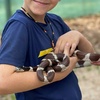 Image 5: Wild Animal Adventures – Family Fun & Mini Golf 