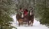 Create Lasting Memories at Cornerstone Ranch: Group Horse-Drawn Sleigh/Wagon Ride with Expert Guide
