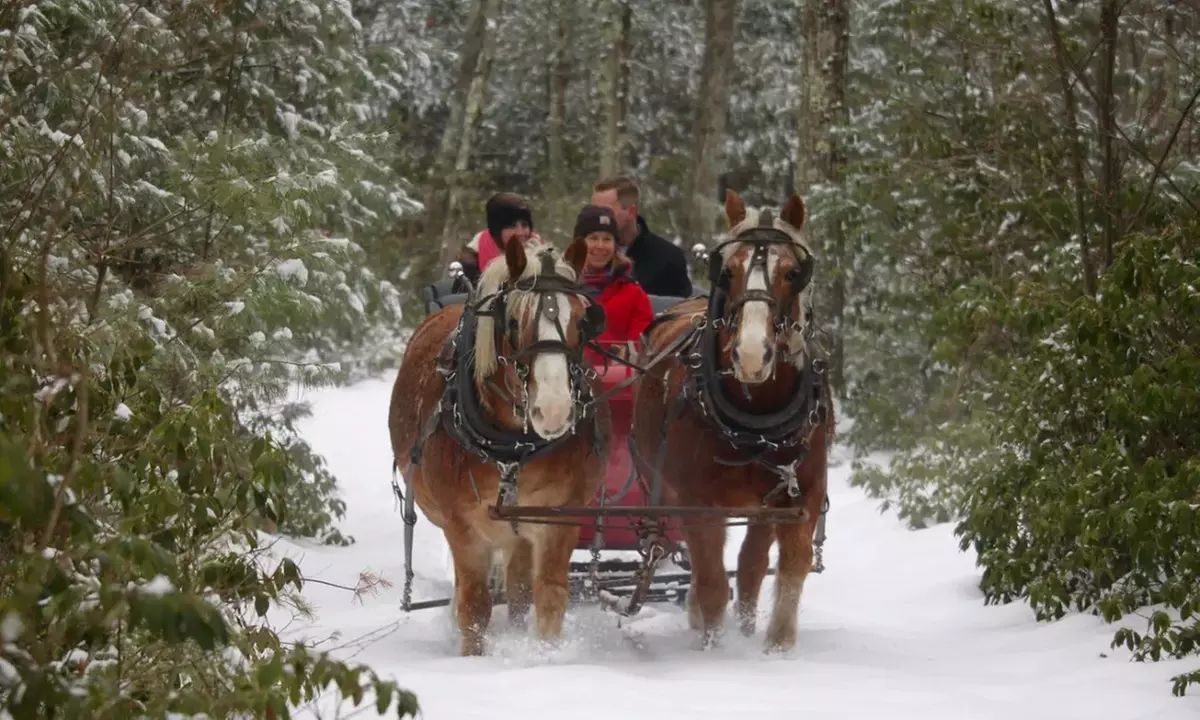 Lasting Memories at Cornerstone Ranch: Horse-Drawn Sleigh/Wagon Ride