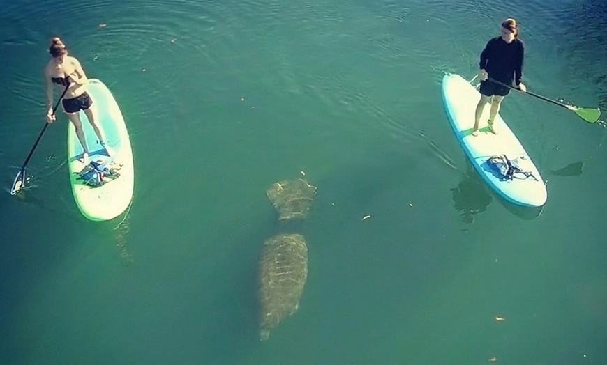 Image 3: Up to 38% Off Homosassa Springs Kayak Rentals