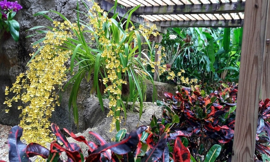 Image 6: Sunken Gardens Admission & Family Membership Deals (Up to 35% Off)