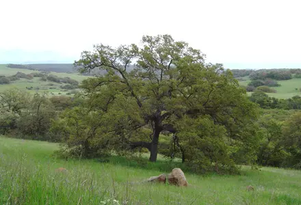 Santa Rosa Plateau Ecological Reserve
