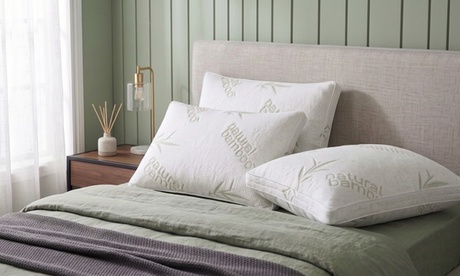 SAMPUR Pack (x4) ,Oreillers microfibre 50x30 cm housse polyester bamboo, White