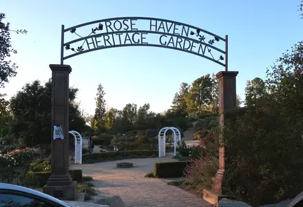 Rose Haven Heritage Garden