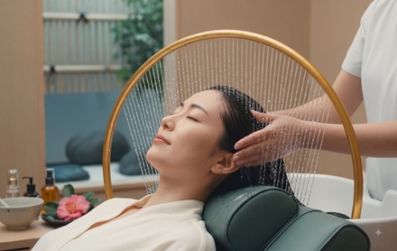 60 min Head Spa + Deep Scalp Cleaning + Face Mask + Aromatherapy + Upper Back Massage - Wellness Massage & Spa