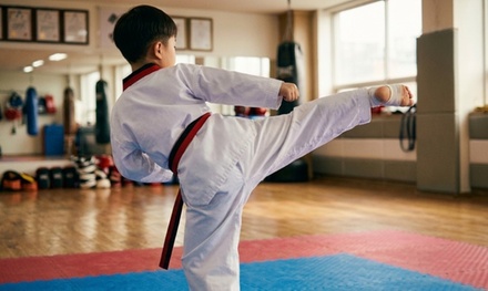 10 Kids Martial Arts Classes  - Little Monk TaekwonDo