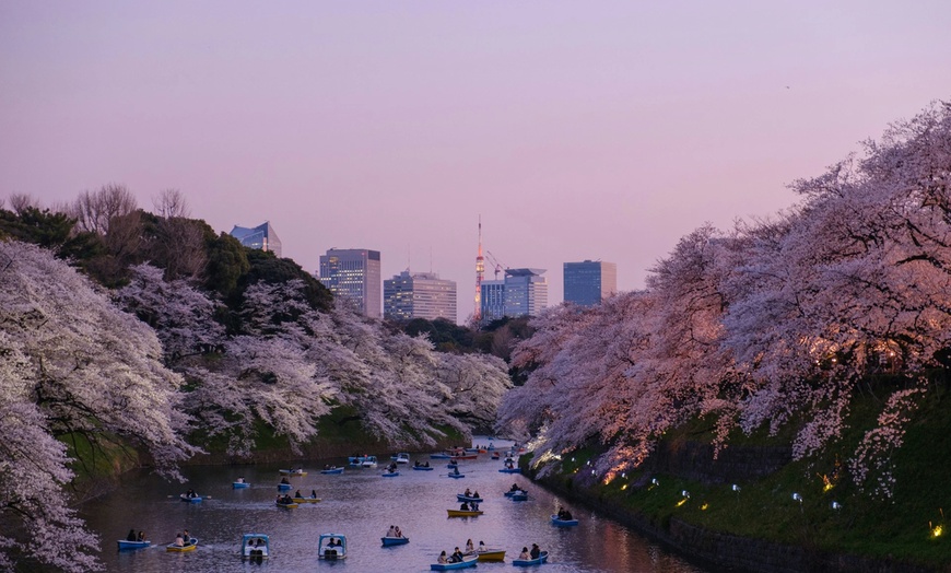 Image 6: ✈ Tokyo: 7-Night Japan City Adventure with Flights & Asakusa Hotel