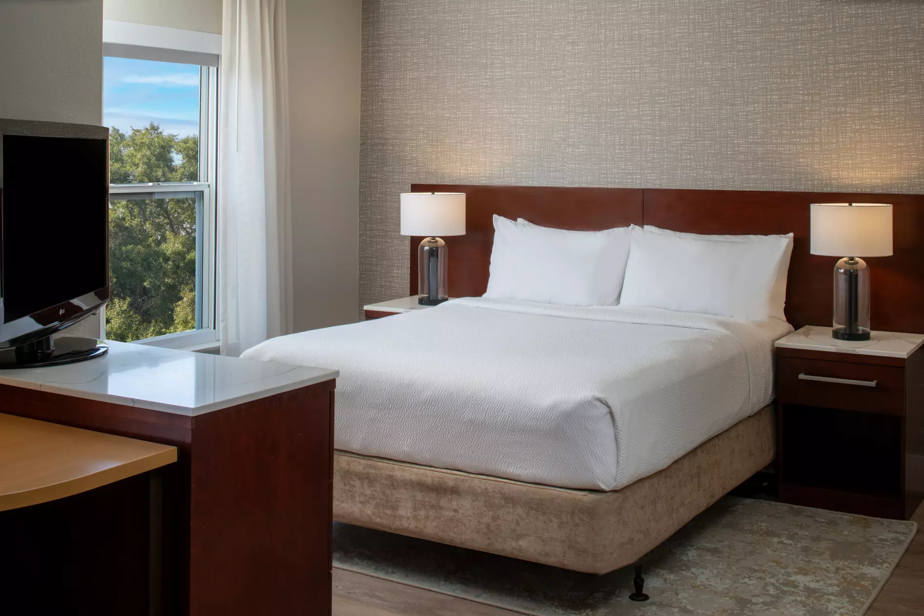 Studio Suite with Queen Bed and Sofa Bed