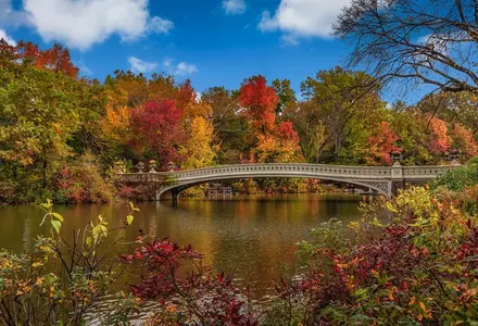 Central Park