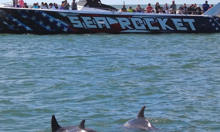 Image 3: Speed Boat Thrills or Relaxation on a Sunset Cruise at Ocean City
