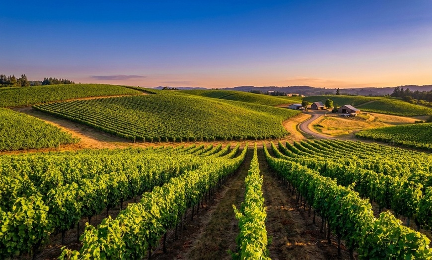 Image 7: Reserve wine tasting for two or four with wine credit included