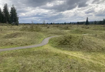 Mima Mounds Natural Area Preserve