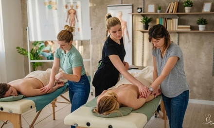 One 60 Minute Massage - Denver School Of Massage