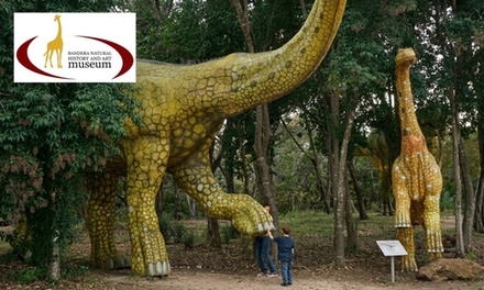 Museum Admission - For 1 - Bandera Natural History & Art Museum- Bandera, Texas